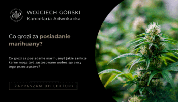 co grozi za posiadanie marihuany